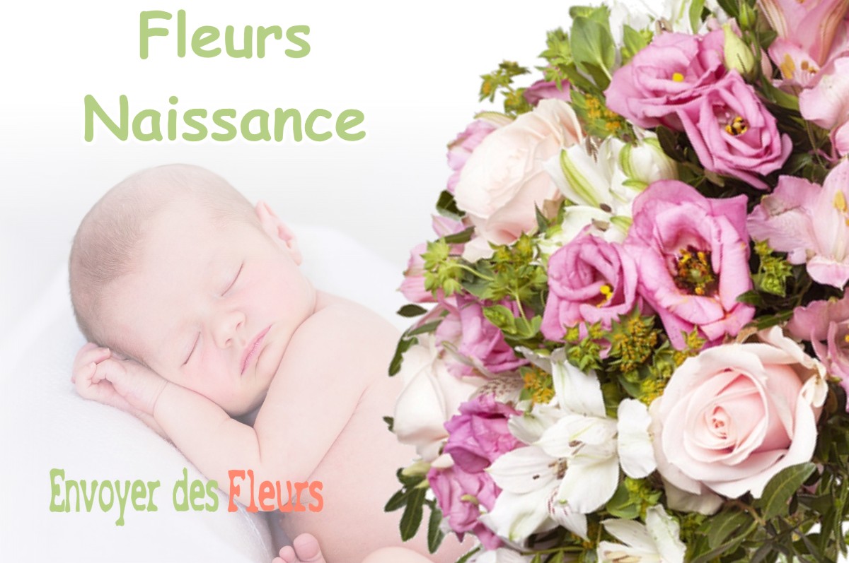 lIVRAISON FLEURS NAISSANCE à SEYSSUEL